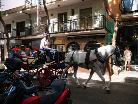 Photo for Horse and carriage Ride in Los Boliches on the Costa Del Sol in Spain - Royalty Free Image