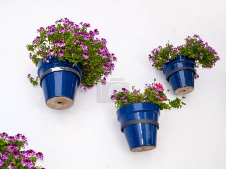 Photo for Plant pots in Mijas which is one of the most beautiful 'white' villages of the Southern Spain area called Andalucia. It is in the Alpujarra mountains above the coast this is where Moorish people originally from North Africa who ruled Andalucia - Royalty Free Image