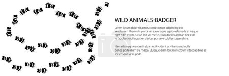 Téléchargez les illustrations : Bannière de piste de l'animal forestier, trace de blaireau européen animal, illustration vectorielle - en licence libre de droit