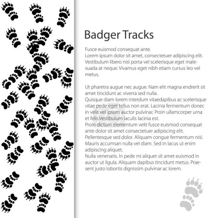 Téléchargez les illustrations : Cover design with traces of forest animal, European badger footprint, vector illustration - en licence libre de droit