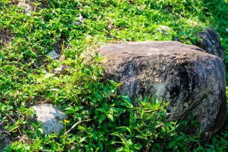 Téléchargez les photos : Une colline herbeuse avec quelques pierres - en image libre de droit