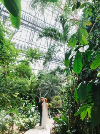 The bride and groom are walking and kissing in a tropical greenhouse. In the foreground are tropical trees, palm trees, a glass ceiling. Wedding day, tropical wedding.