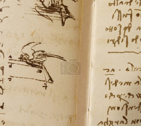Foto de Manuscrito, dibujos, vuelo de pájaros de Leonardo Da Vinci en el viejo libro The Codice Sul Volo, de E. Rouveyre, 1893 - Imagen libre de derechos