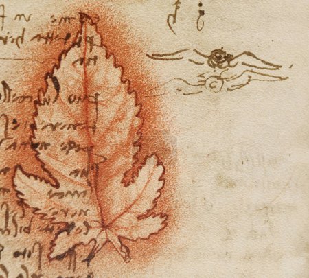 Téléchargez les photos : Manuscrit, dessins, feuilles rouges, plans de Léonard de Vinci dans l'ancien livre Le Codice Sul Volo, par E. Rouveyre, 1893 - en image libre de droit