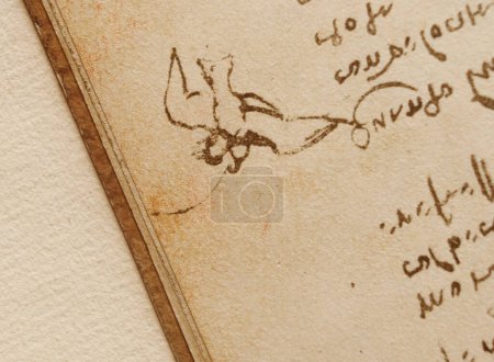 Téléchargez les photos : Manuscrit, dessins, vol d'oiseau de Léonard de Vinci dans l'ancien livre Le Codice Sul Volo, par E. Rouveyre, 1893 - en image libre de droit