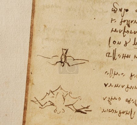 Téléchargez les photos : Manuscrit, dessins, oiseaux de Léonard de Vinci dans l'ancien livre Le Codice Sul Volo, par E. Rouveyre, 1893 - en image libre de droit