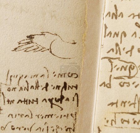 Foto de Manuscrito, dibujos, ala de pájaro de Leonardo Da Vinci en el viejo libro The Codice Sul Volo, de E. Rouveyre, 1893 - Imagen libre de derechos