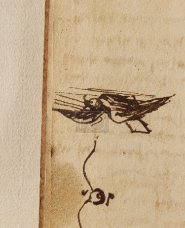 Foto de Manuscrito, dibujos, pájaros de Leonardo Da Vinci en el viejo libro The Codice Sul Volo, de E. Rouveyre, 1893 - Imagen libre de derechos