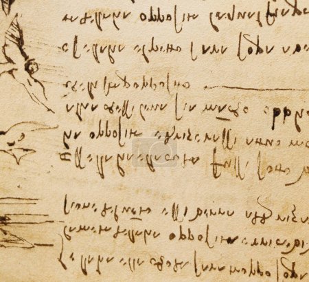 Téléchargez les photos : Manuscrit, dessins, vol des oiseaux par Léonard de Vinci dans l'ancien livre Le Codice Sul Volo, par E. Rouveyre, 1893 - en image libre de droit