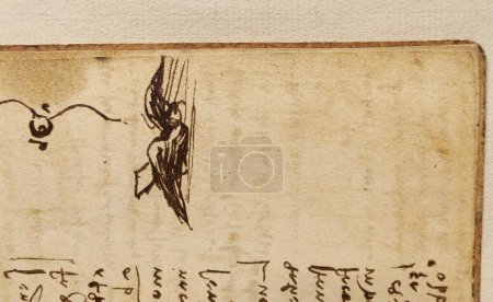 Photo for Manuscript, drawings, birds by Leonardo Da Vinci in the old book The Codice Sul Volo, by E. Rouveyre , 1893 - Royalty Free Image