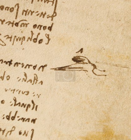 Foto de Manuscrito, dibujos, inscripciones, pájaros de Leonardo Da Vinci en el viejo libro The Codice Sul Volo, de E. Rouveyre, 1893 - Imagen libre de derechos