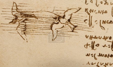 Foto de Manuscrito, dibujos, vuelo de pájaro de Leonardo Da Vinci en el viejo libro The Codice Sul Volo, de E. Rouveyre, 1893 - Imagen libre de derechos