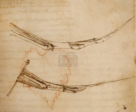 Téléchargez les photos : Manuscrit, dessins, plans de Léonard de Vinci dans l'ancien livre Le Codice Sul Volo, par E. Rouveyre, 1893 - en image libre de droit