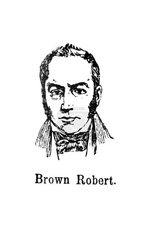 Téléchargez les photos : Robert Brown, un botaniste écossais dans l'ancien livre l'Encyklopedja, par Olgerbrand, 1898, Warszawa - en image libre de droit