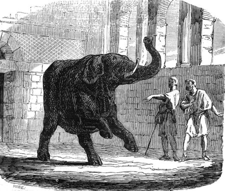 Foto de Entrenadores de elefantes en el viejo libro Encyclopediana D 'Anecdotes, de Laisne, 1857, París - Imagen libre de derechos