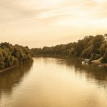 Bank of the Tisza river,Hungary. High quality photo