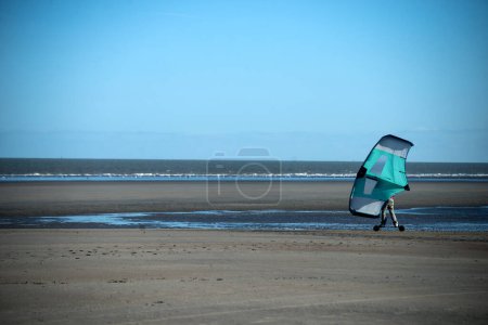 portrait of man using wind surf board  on the beach