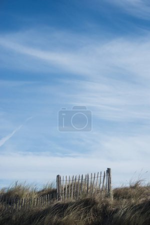 view of wooden fence on the beach on blue sky background