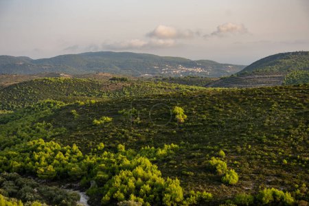 Atardecer pinos, olivares y vistas al mar en una isla griega.. Puesta de sol mediterránea desde el mirador de Agalas. Campos verdes y bosques en Zakynthos, Grecia. 