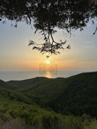 Sonnenuntergang Kiefern, Olivenhaine und Meerblick auf einer griechischen Insel. Mittelmeersonnenuntergang aus der Sicht von Agalas. Sitzen und Sonnenuntergang in Zakynthos, Griechenland. 