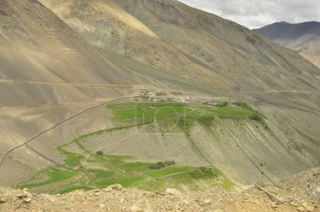 Photo for Beautiful view of a tiny village which located in dry mountains on the way of Darcha-Padum, Ladakh, INDIA. - Royalty Free Image