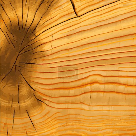 Ilustración de Textura realista del árbol verde más alto del mundo, hecho en los Estados Unidos - Ilustración vectorial - Imagen libre de derechos