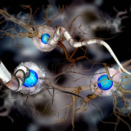 Photo for Nerve cells, Neuron, Neurologic Disease, tumors, brain surgery. 3d Illustration - Royalty Free Image