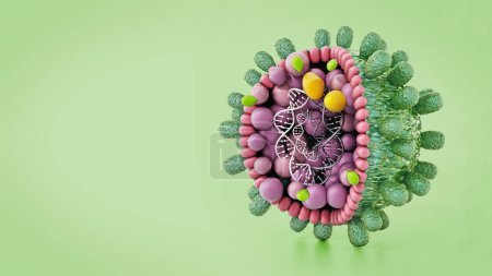 Detalle estructural del virus de la hepatitis B aislado sobre fondo verde. Ilustración 3D.
