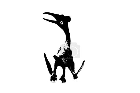 Photo for Black dinosaur silhouette isolated on white background, model of pteranodon toys - Royalty Free Image
