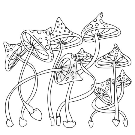 Amanita mushrooms coloring page, forest dangerous Fly agaric for creativity vector illustration