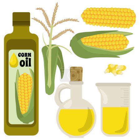Illustration for Set of corn oil in bottles and other containers, cobs, ears and grains of corn vector illustration - Royalty Free Image