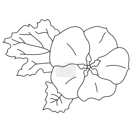 Outline nicandra flower with leaves, garden nightshade plant hand drawn coloring page vector illustration  for creativity and kids activity
