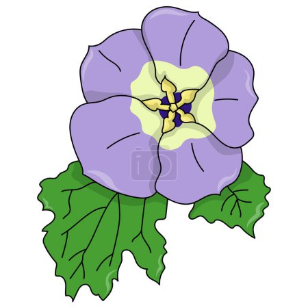 Flor flor de nycandra con hojas, planta de sombra de jardín dibujado a mano con contorno y hojas verdes para la ilustración de vectores de diseño 