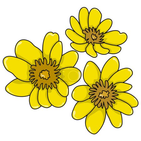 Blühende gelbe Blume Set, Frühling Honigpflanze Hand mit Umriss Vektor Illustration für die Gestaltung gezeichnet