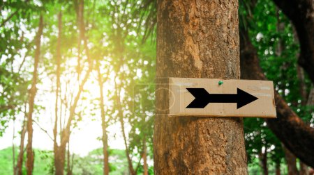 Photo for Brown paper label with drawing of directional arrow on tree trunk with blurred background in camping site - Royalty Free Image