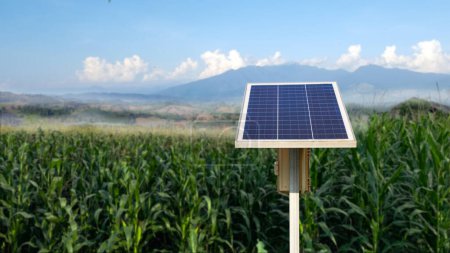 Foto de Panel fotovoltaico en campo de maíz borroso en el fondo, concepto para el uso de panel de células solares para alimentar la bomba de agua en el área agrícola - Imagen libre de derechos