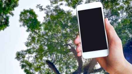 Un téléphone portable est placé sur une image tournée vers le haut d'un sommet d'arbre. Cette image symbolise l'intersection de la technologie moderne et de la nature, mettant l'accent sur la technologie dans la conservation de l'environnement.
