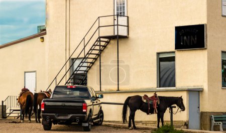 Photo for Modern and old horse power waiting for their owners. Big Valley, Alberta, Canada - Royalty Free Image