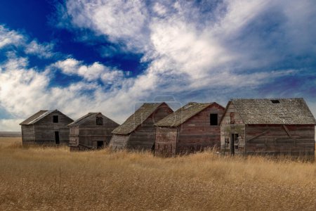 Photo for Rustic building on the prairies lay dormant Vulcan County Alberta Canada - Royalty Free Image