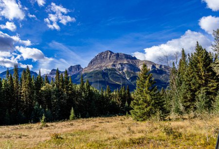 Photo for Fall colours at Hillsdale Meadows Banff National Park Alberta Canada - Royalty Free Image