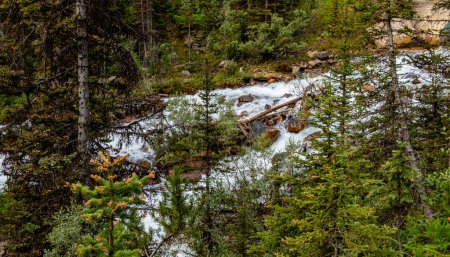 Téléchargez les photos : Promenade le long du lac Moraine Parc national Banff Alberta Canada - en image libre de droit