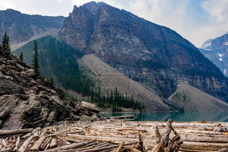 Téléchargez les photos : Confiture de billes Parc national du Lac-Moraine Banff Alberta Canada - en image libre de droit