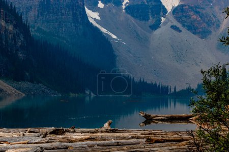 Téléchargez les photos : Confiture de billes Parc national du Lac-Moraine Banff Alberta Canada - en image libre de droit