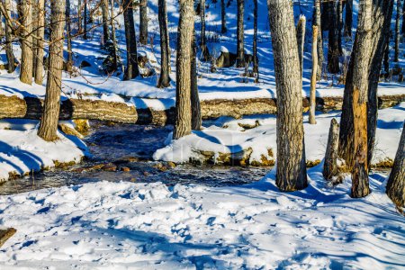Photo for A blanket of snow decends on the park and settles on the ground. Big Hill Springs Provincial Recreation Area. Alberta, Canada - Royalty Free Image