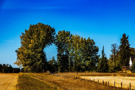 Téléchargez les photos : Plein de cieux bleus, d'étangs et de champs de fermiers sur une promenade à travers le comté de Lacombe, Alberta, Canada - en image libre de droit
