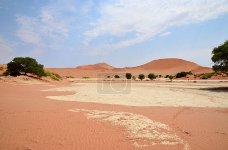 Foto de Paisaje del desierto en Sossusvlei NP, Namibia - Imagen libre de derechos