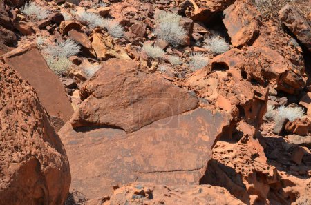 Téléchargez les photos : Stone carvings at Twyfelfontain, Namibia - en image libre de droit