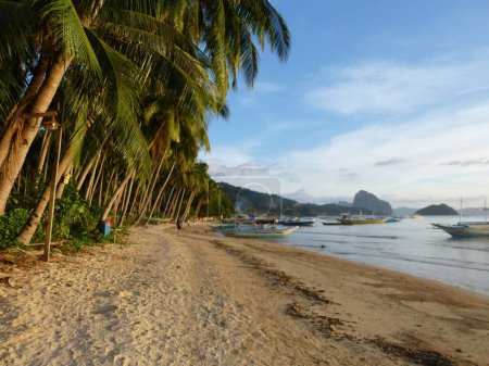 Téléchargez les photos : Belle plage près de El Nido, Philippines - en image libre de droit
