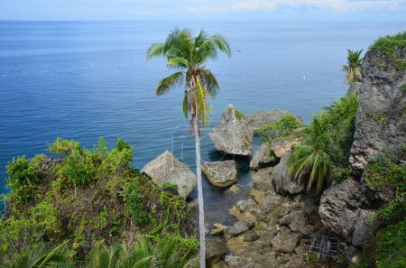 Photo for Beautiful view of the seaside at Siquijor island, Philippines - Royalty Free Image
