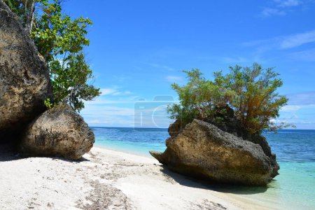 Rochers envahis sur une plage de l'île de Siquijor, Philippines
